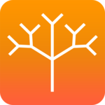 bbb icon