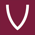 Voilà Color Chart icon