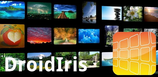 DroidIris : Image Search pc screenshot