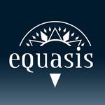 Equasis Mobile icon