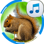 Sounds of Squirrels icon