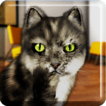 Talking Cat Funny icon