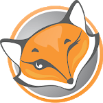 FoxyProxy VPN icon