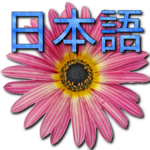 🌼 Japanese Dictionary icon