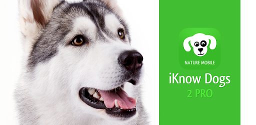 iKnow Dogs 2 LITE pc screenshot
