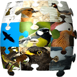 Ornithopedia Europe icon