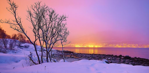 Norway Travel Guide pc screenshot