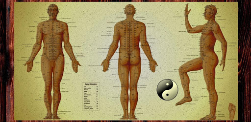 Acupressure Tutorial pc screenshot