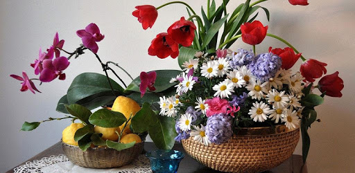 1011 Flowers Live Wallpapers pc screenshot 1011 Flowers Live Wallpapers pc screenshot