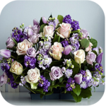1022 Flowers Live Wallpapers icon