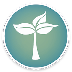 Organic-KWGT icon