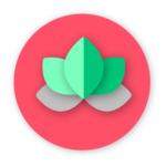 Ornate KWGT icon