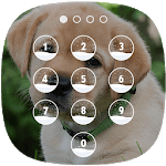 Cute Dog Lock Screen icon