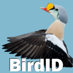 BirdID icon
