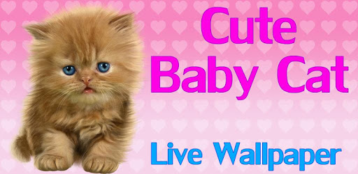 Baby Cat, Cute Live Wallpaper pc screenshot Baby Cat, Cute Live Wallpaper pc screenshot