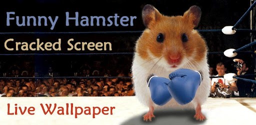 Funny Hamster Cracked Screen pc screenshot Funny Hamster Cracked Screen pc screenshot