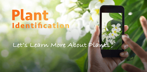 LeafSnap - Plant Identification pc screenshot