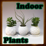 Indoor Plants icon