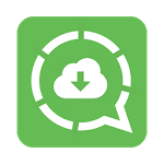 Status Stories Downloader icon