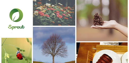 Sprout Camera Example Sprout - DIY Filter Camera for PC - How to Install on Windows PC, Mac