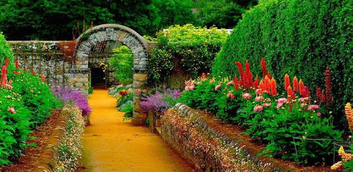 Nature Parks Live Wallpaper pc screenshot