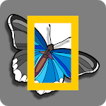 Nat Geo Color WILD icon