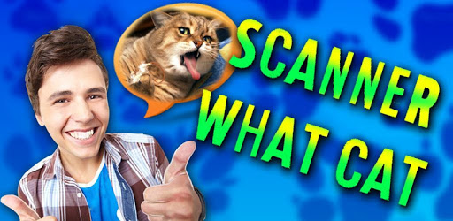 Scanner: What cat? pc screenshot Scanner: What cat? pc screenshot