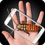 Cockroach 2 Hand Funny Joke icon