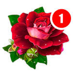 Good morning, wishes and Happy Birthday GIF Images icon