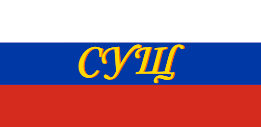 Russian noun declension pc screenshot