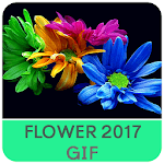 Flower GIF 2017 icon