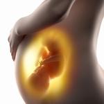 Pregnant. Pregnancy by week. Pregnancy calendar icon