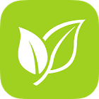 Pollen icon