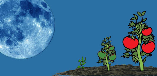 Moon Calendar - legacy pc screenshot Moon Calendar - legacy pc screenshot