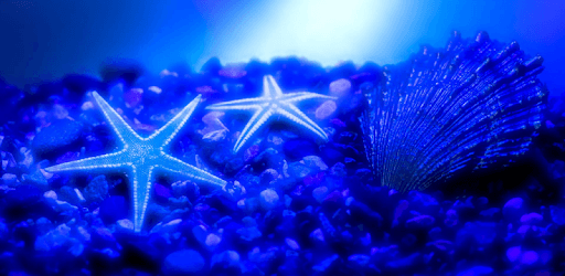 Sea Life Video Wallpapers pc screenshot Sea Life Video Wallpapers pc screenshot