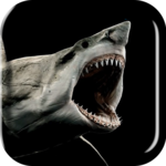 Shark 3D Live Wallpaper icon