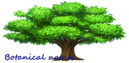 Botanical Names pc screenshot