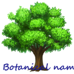 Botanical Names icon