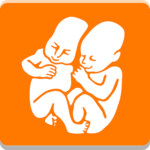 Pohoda 2018 powered by Orange icon