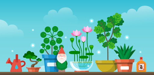 Terrarium: Garden Idle pc screenshot Terrarium: Garden Idle pc screenshot