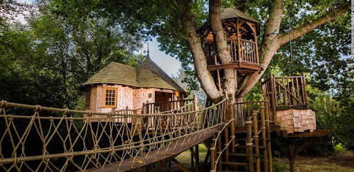 Treehouse pc screenshot