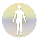 Homeopathic Repertorium for pc icon Homeopathic Repertorium for pc icon