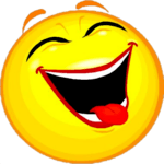 Vicevi icon
