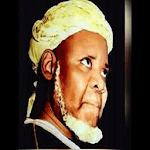 Diwani English Translation by Sheik Ibrahim INYASS icon