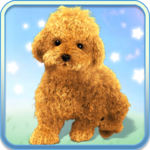 Talking Teddy Dog icon