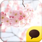 카카오톡 테마 - The CherryBlossom icon