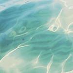 Sounds of sea and forest - Sounds for relaxation icon