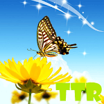 live wallpapers butterfly icon