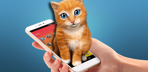 Sweet cat inside phone pc screenshot
