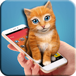 Sweet cat inside phone icon